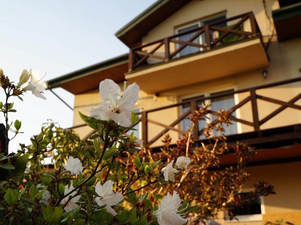 Anandaresort - Vegewakacje Władysławowo 外观 照片